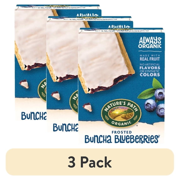 (3 pack) Nature's Path Organic Blueberry Frosted Toaster Pastries 11oz ...