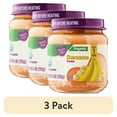 thumbnail image 1 of (3 pack) Parent's Choice Organic Stage 1 Baby Food, Banana, 4 oz Jar, 1 of 13