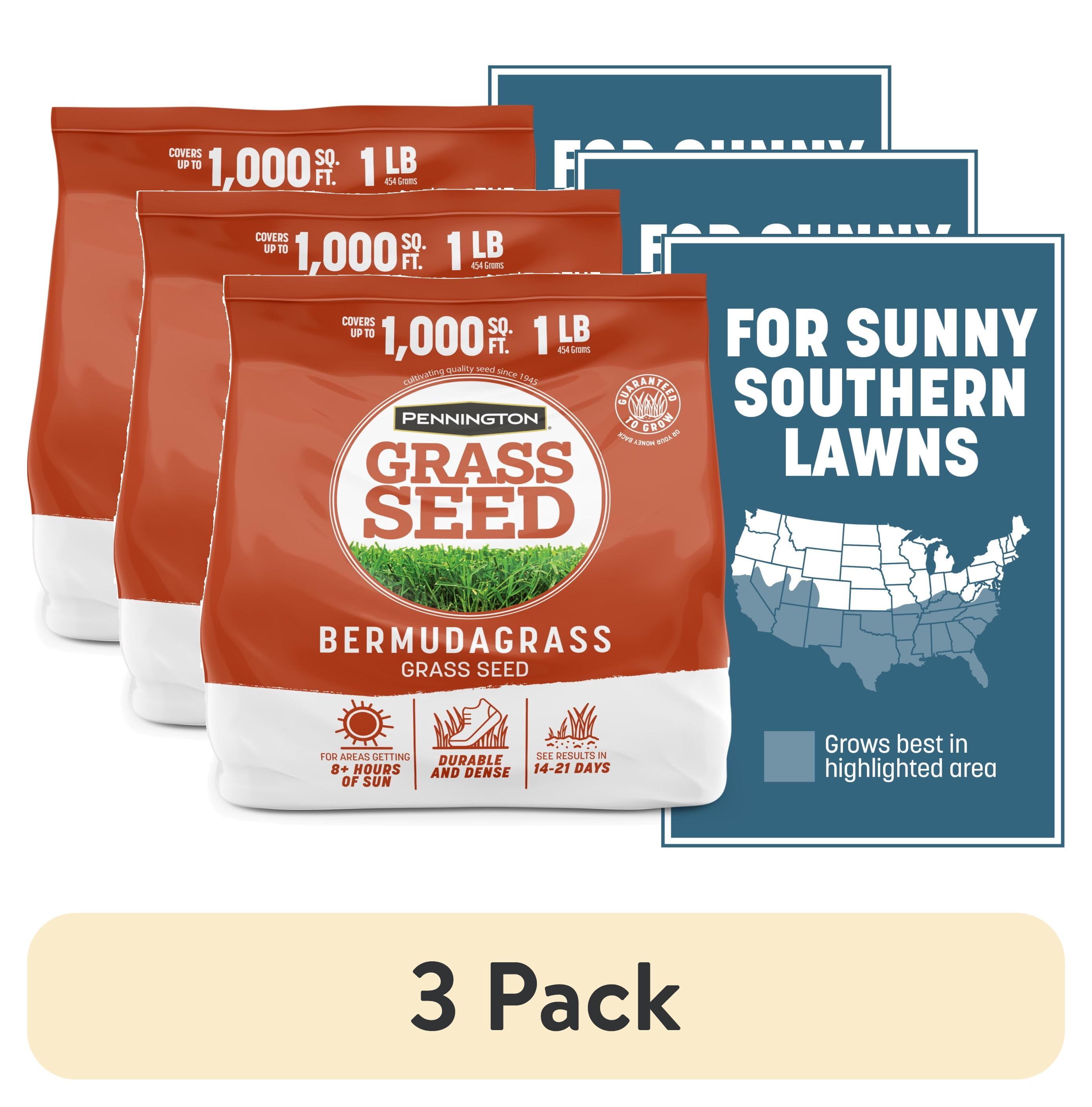 (3 pack) Pennington Bermudagrass Grass Seeds for Full Sun Lawn, Grass Seed, 1 lb