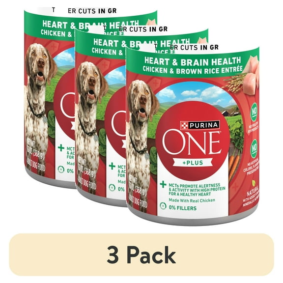 (3 pack) Purina ONE Plus Tender Cuts in Gravy Heart and Brain Chicken and Brown Rice Entree Natural with Added Vitamins and Minerals Wet Dog Food, 13 oz Can
