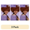 thumbnail image 1 of (3 pack) SoftSheen-Carson Dark and Lovely Fade Resist Rich Conditioning Color, Red Hot Rhythm 376, 1 of 10
