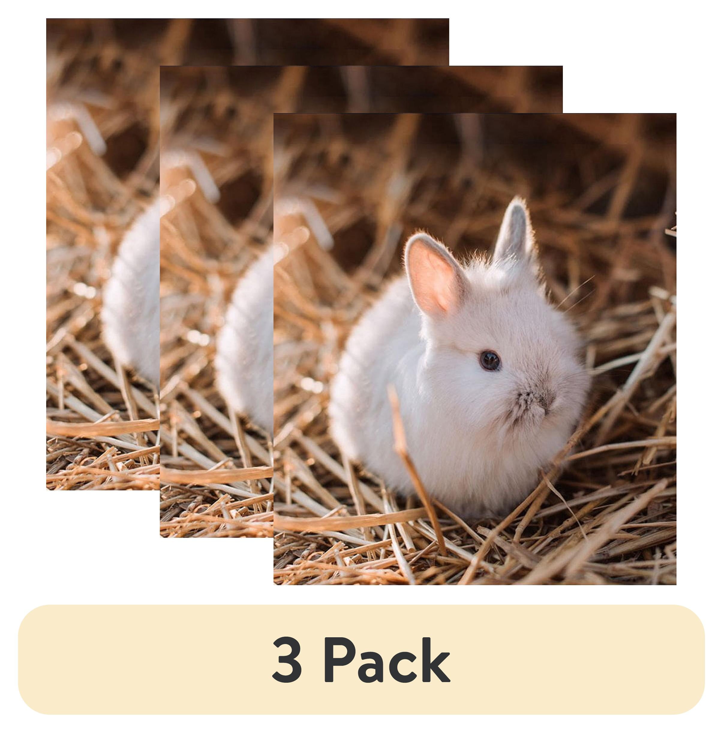(3 pack) Tiny Friends Farm Hazel Hamster Food 2lb