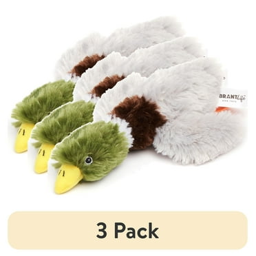 (3 pack) Vibrant Life Cozy Buddy Squeaky Mallard Duck Dog Toy, Chew Level 2