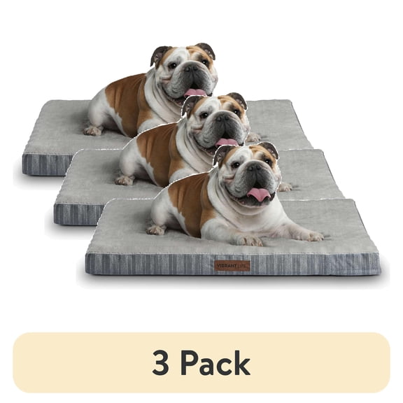 (3 pack) Vibrant Life Large Orthopedic Foam Dog Bed for Large Breeds, 35" x 25", Grey