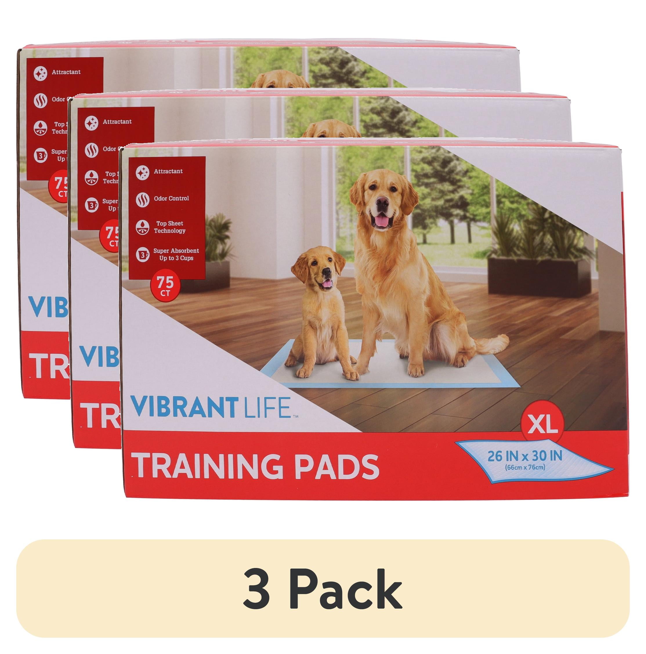 (3 pack) Vibrant Life Training Pads – Super Absorbent, Leak Proof, & Fast Dry Dog and Puppy Pee Pads – XL 26 in x 30 in, 75 Count