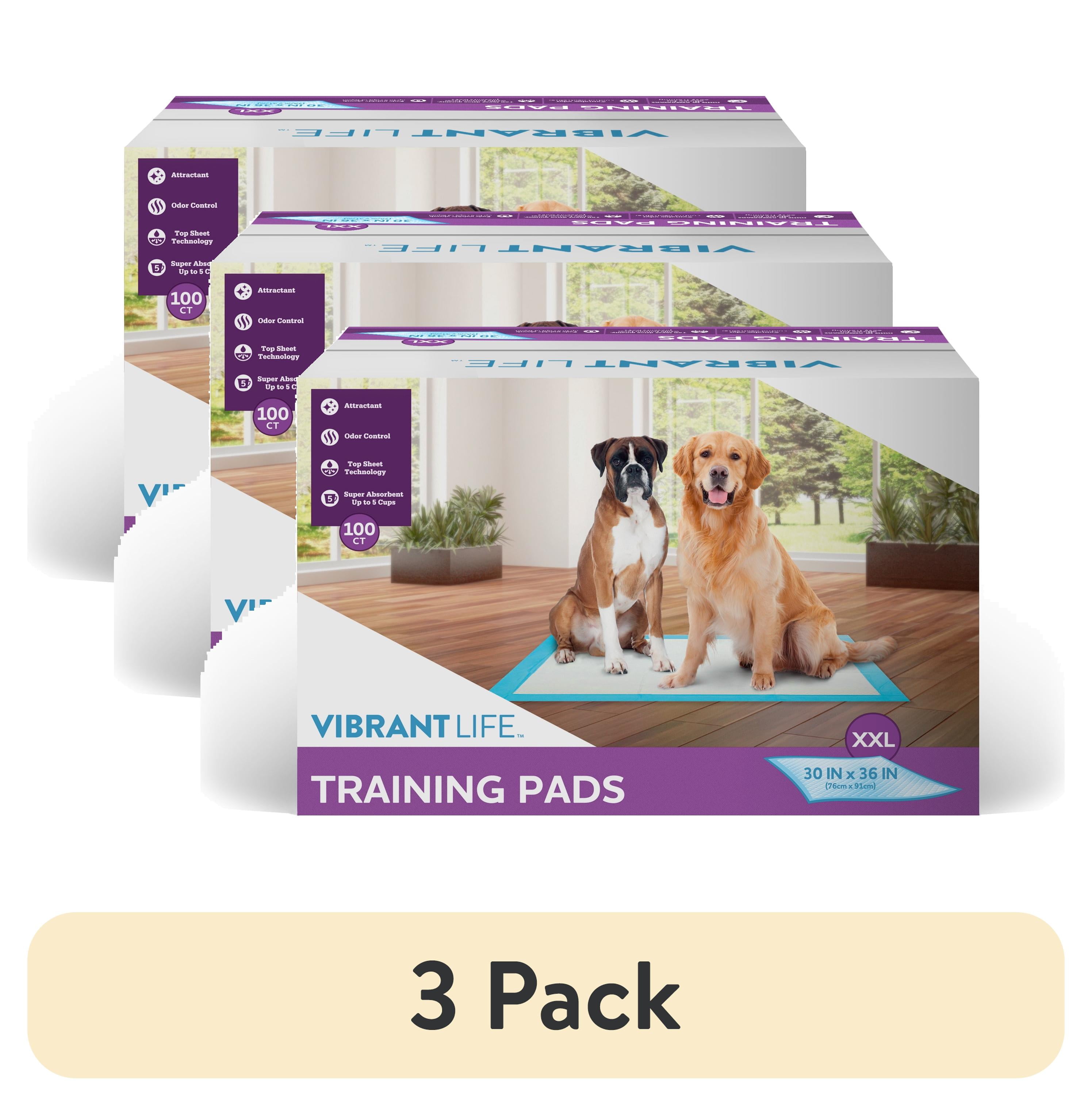 3-pack-Vibrant-Life-Training-