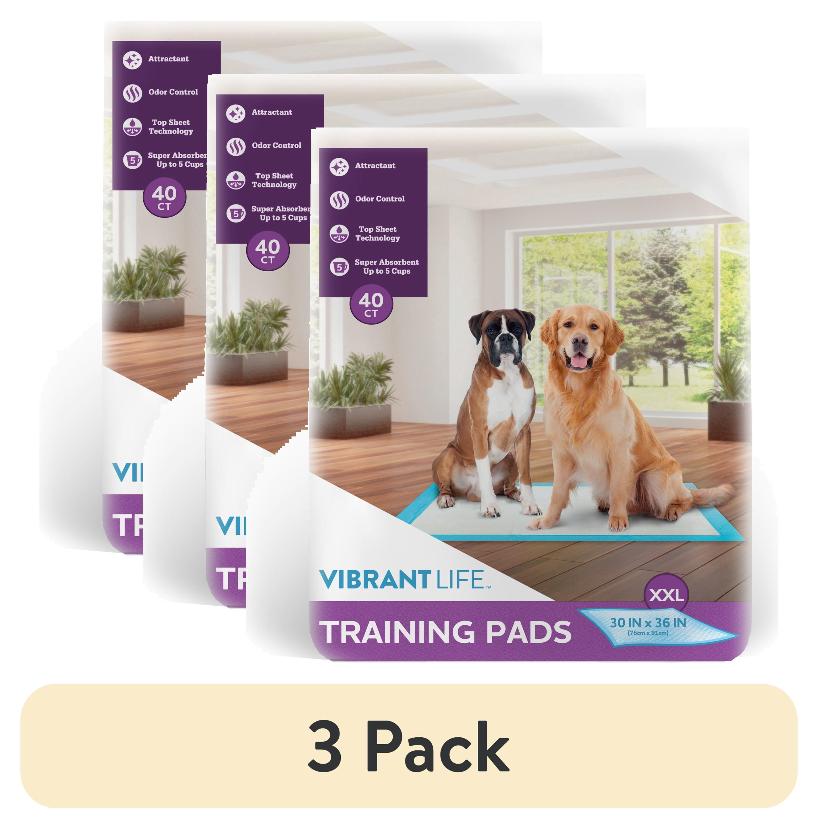 (3 pack) Vibrant Life XXL Training Pads, Super Absorbent, Leak Proof, & Fast Dry Dog and Puppy Pee Pads, 30 in x 36 in, 40 Count