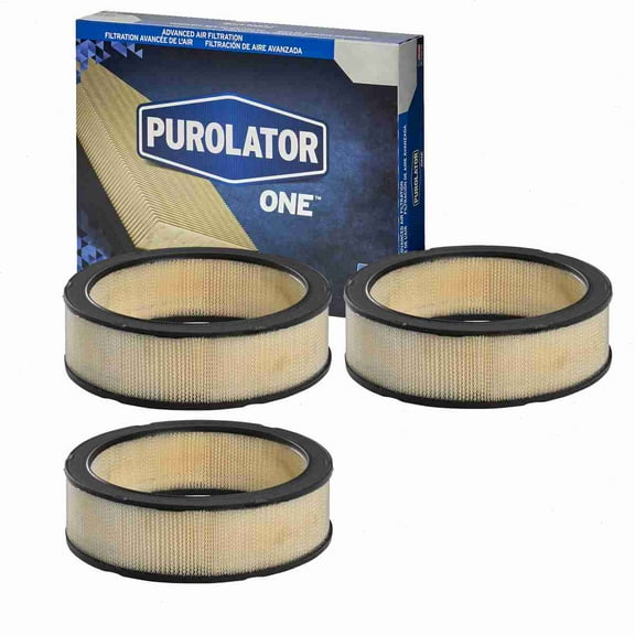 3 pc Purolator ONE A50091 Air Filters for 201 62098 Intake Inlet Manifold Fuel Delivery Filters Fits select: 1988-1995 CHEVROLET GMT-400, 1968-1970 CHEVROLET CAMARO