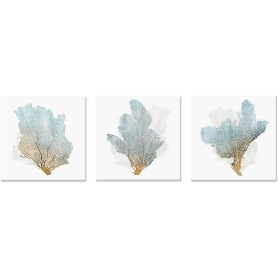 3 piece Delicate Coral Wall Decor for Bedroom Coastal Wall Art Home Decor Framed Sea Fan Pictures Nautical Prints Artwork for Wall Art sets of 3 for bathroom 16 x 16 inch x 3 pcs
