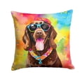 thumbnail image 1 of 3 x 18 x 18 in. Chocolate Labrador Hippie Dawg Fabric Decorative Pillow, 1 of 1