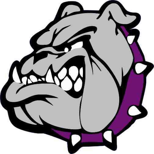 3 x 3 Purple Collared Bulldog Mascot Sticker Vinyl School Bumper Stickers