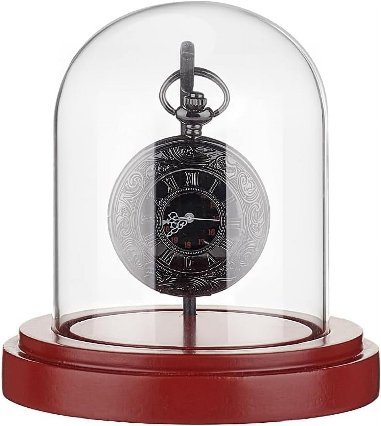 Pocket Watch Display Dome