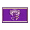 thumbnail image 1 of 3' x 5' Purple and White NCAA Western Carolina Catamounts Rectangular Plush Area Throw Rug, 1 of 3