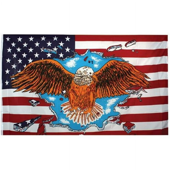3 x 5 ft. USA Eagle Flag