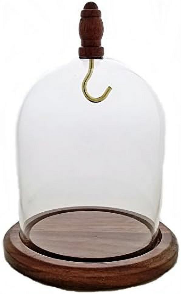 3"x4" Pocket Watch Glass Display Dome Cloche with Hook, Real Walnut