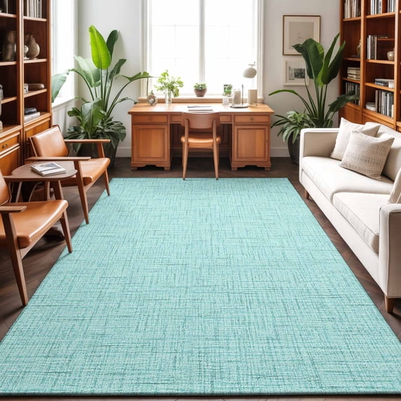 3'x5' Area Rugs, Aqua Green Indoor Outdoor Area Rug for Living Room Bedroom, Rustic Farmhouse Solid Color Washable Bathroom Rugs Kitchen Floor Carpet Mats Home Decor Aesthetic