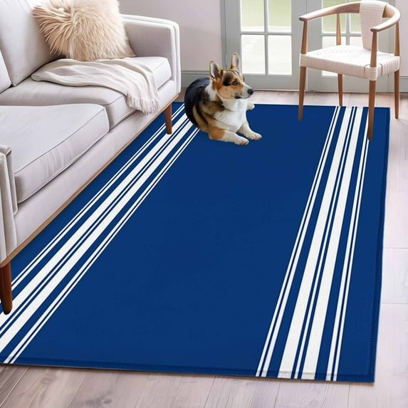 3'x5' Area Rugs, Blue Striped Indoor Outdoor Area Rug for Living Room Bedroom, Farmhouse Blue White Stripes Washable Bathroom Rugs Kitchen Floor Carpet Mats Home Decor Aesthetic