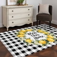 thumbnail image 1 of 3'x5' Area Rugs, Farmhouse Lemon Indoor Outdoor Area Rug for Living Room Bedroom, Bless Home Summer Black Buffalo Plaid Washable Bathroom Rugs Kitchen Floor Carpet Mats Home Decor Aesthetic, 1 of 8