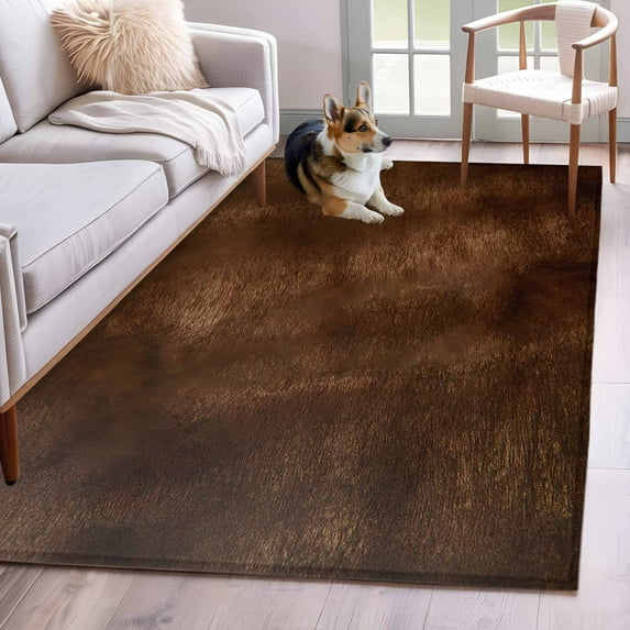3'x5' Area Rugs, Retro Wooden Board Indoor Outdoor Area Rug for Living Room Bedroom, Western Country Farmhouse Brown Wood Washable Bathroom Rugs Kitchen Floor Carpet Mats Home Decor Aesthetic