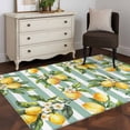thumbnail image 1 of 3'x5' Area Rugs, Yellow Lemon Indoor Outdoor Area Rug for Living Room Bedroom, Spring Botanical Floral Leaves Aqua Stripes Washable Bathroom Rugs Kitchen Floor Carpet Mats Home Decor Aesthetic, 1 of 8