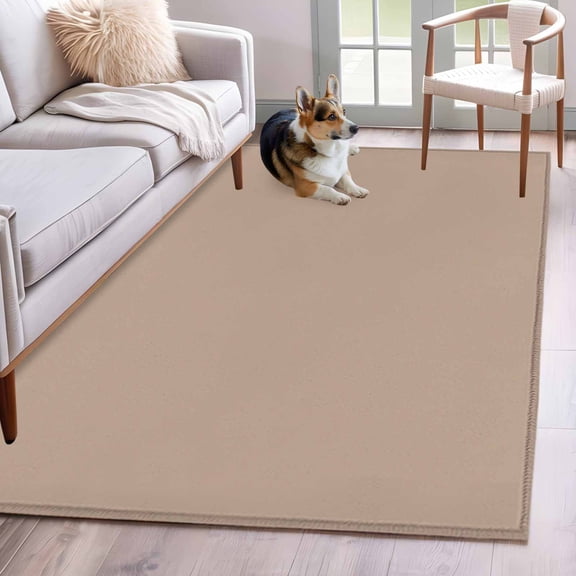3'x5' Rug for Living Room Bedroom, Beige Solid Color Washable Area Rugs Non-Slip Carpet Mats, Aesthetics Contemporary Luxury Indoor Low Pile Area Rug Runner for Kitchen, Mudroom