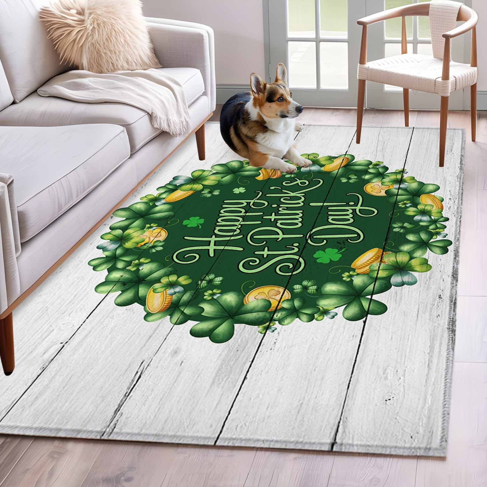 Coins Area Rug 3'x5' Rug for Living Room Bedroom, St Patricks Day Washable Area Rugs ...