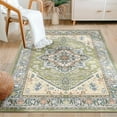 thumbnail image 1 of 3'x5' Area Rugs, Machine Washable Non Slip Area Rug for Kitchen, Soft Low Pile Vintage Print Pattern Indoor Bathroom Thin Carpet, Green, 1 of 5