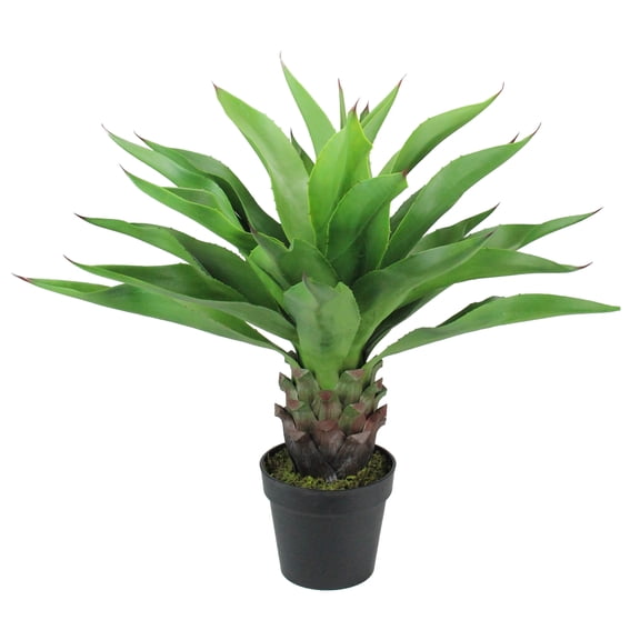 30.5" Potted Green Artificial Agave Americana Succulent Plant