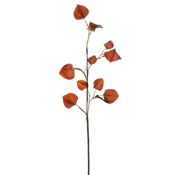 30.5 in. Orange Dried Lantern Spray, 2 Piece - Pack of 144
