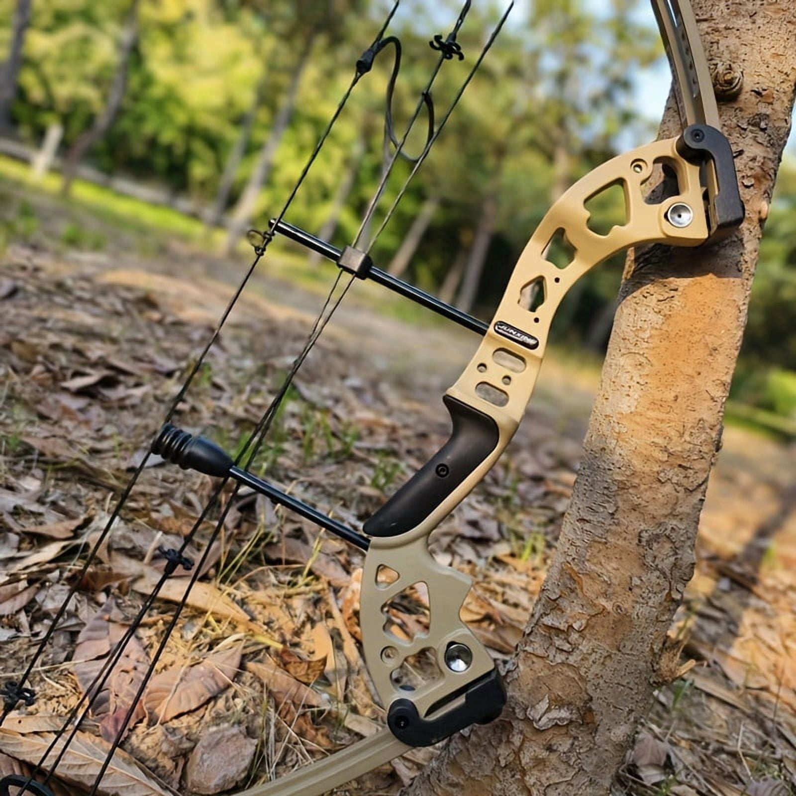 30-55lbs Compound Bow Set Hunting Carbon Arrows Archery Target Shooting RH LH