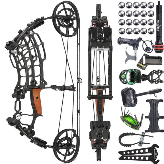 30-70lbs Dual-use Compound Bow Set Steel Ball Archery Target Hunting Shooting RH LH