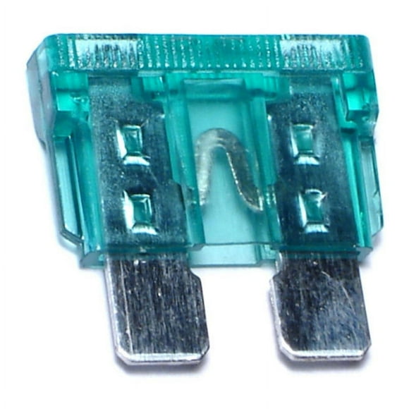 30 Amp Automotive Fuses