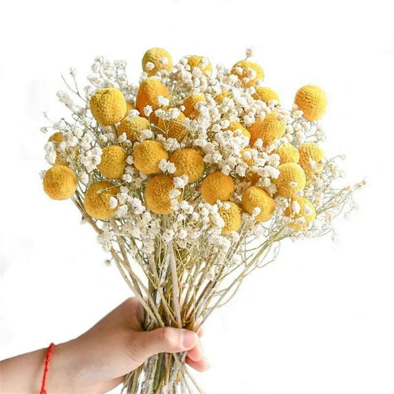 30 Artificial Billy Balls Flowers,Golden Craspedia Globosa Flowers,Permanent Flower Craspedia,Natural Dried Flowers Bouquet,Table Centerpieces,Vase Filler,for Birthday Valentine's Day Party
