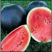 30 Black Diamond Watermelon Seeds for Planting - Summer Favorite, Fruit Seeds for Planting