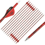 Flèches Carbone Colorful Eagle 28/30/31″ Pointes Vis, Pour Arc à Poulies/recurve, Chasse