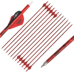 30" Carbon Arrows SP500 ID 6.2mm Compound Recurve Bow Archery Hunting Target