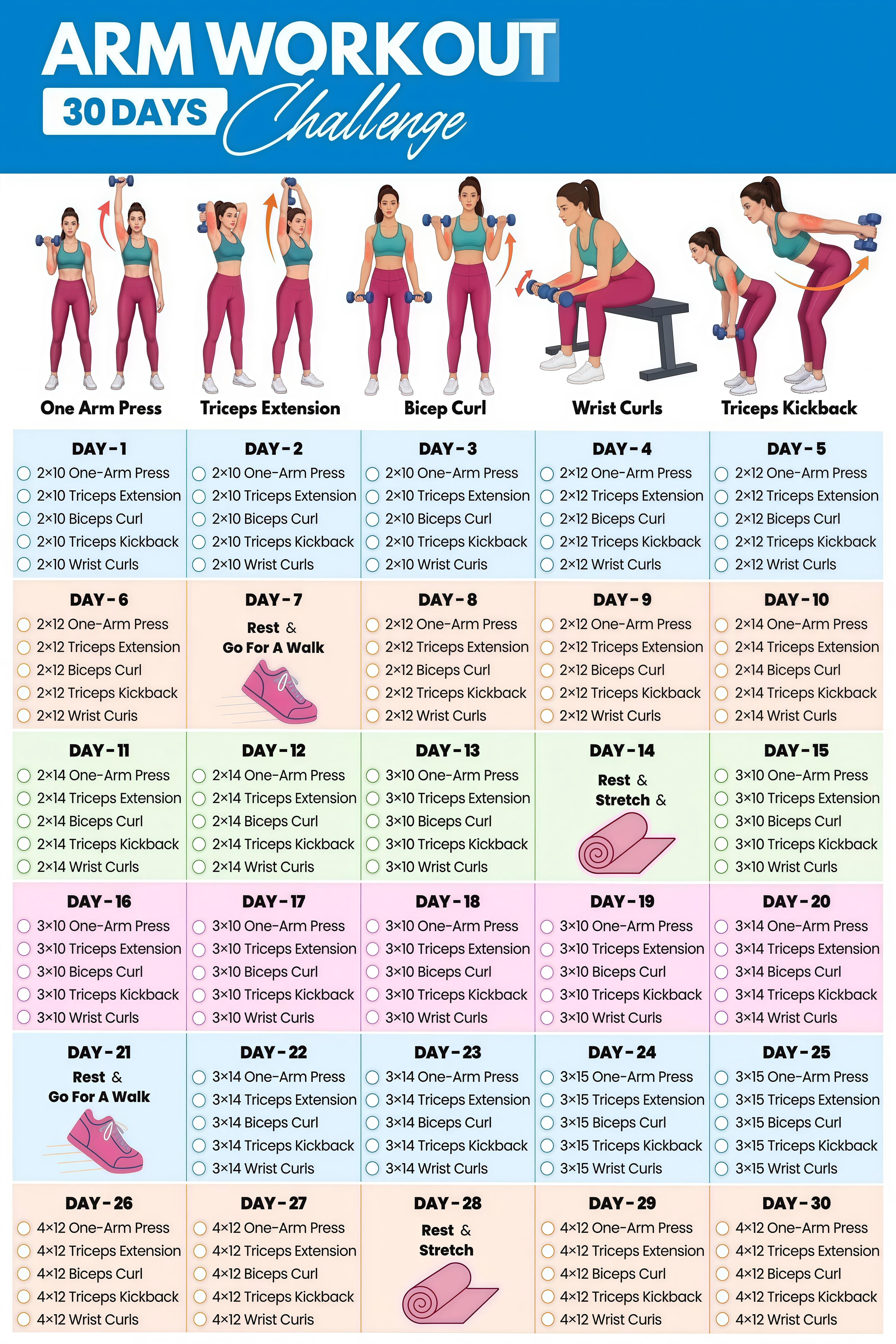 30 Day Arm Workout Challenge Chart for Home Gym Movement Reference ...