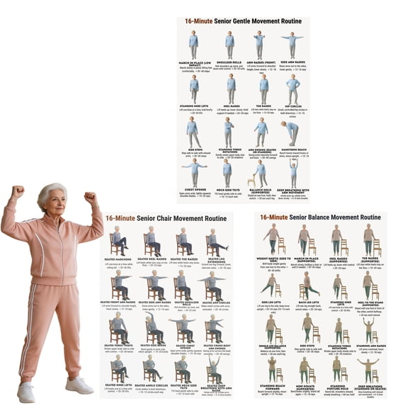 30 Day Seated Workout Chart For Seniors 16 Minute Daily Chair Exercise Routine Printable Wall Fitness Poster 3-Pieces Set