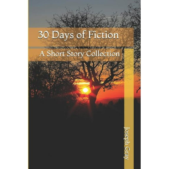 30 Days of Fiction: A Short Story Collection Paperback