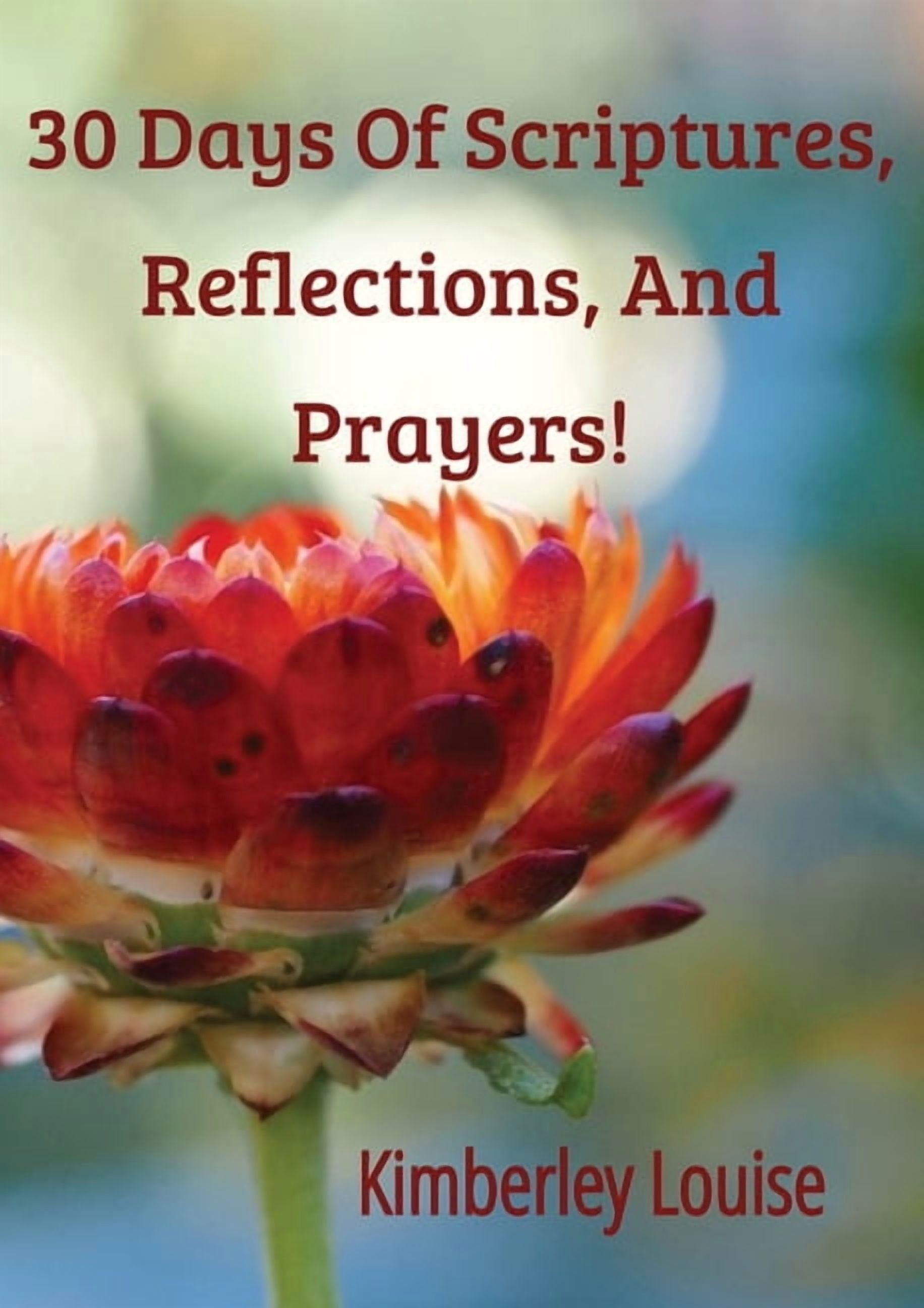 Reflections The Scriptures 30 Days of Scriptures, Reflections, and Prayers!, (Paperback) - Walmart.com