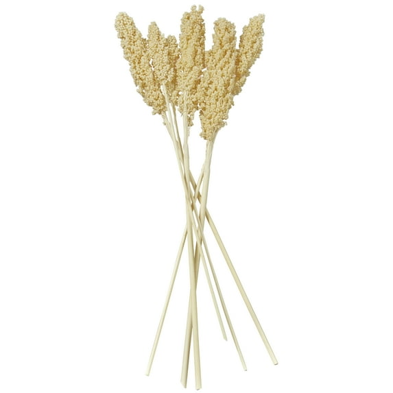 30" Dried Plant Natural Foliage Corn Maze Bouquet with Long Stems, by DecMode