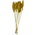 thumbnail image 1 of 30" Dried Plant Natural Foliage Corn Maze Bouquet with Long Stems, by DecMode, 1 of 7
