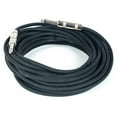 thumbnail image 1 of 30 FT Speaker Cable (1/4-in to 1/4-in ), 1 of 1