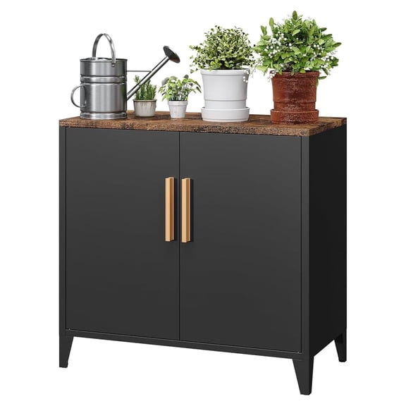 30" H Outdoor Storage Cabinet, Sideboard Buffet Cabinet, 2 Doors, Metal, Adjustable Shelf, Kitchen,Coffee Bar, Garden, Entryway, Table Cupboard,16" Dx 32" Wx30 H Black