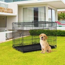 Coziwow 10x10ft Heavy Duty Metal Outdoor Dog Kennel for Large Dogs Chain Link Enclosure W Door for Backyard Walmart
