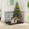 30 Inch Dog Crate for Small Dogs, Folding Metal Wire Crates Dog Kennels