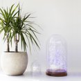 thumbnail image 1 of 30 LED Battery Operated Copper Fairy String Light - PURPLE, 1 of 3