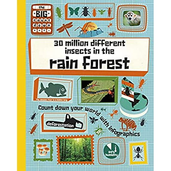Pre-Owned 30 Million Different Insects in the Rainforest (Paperback) 1410968839 9781410968838