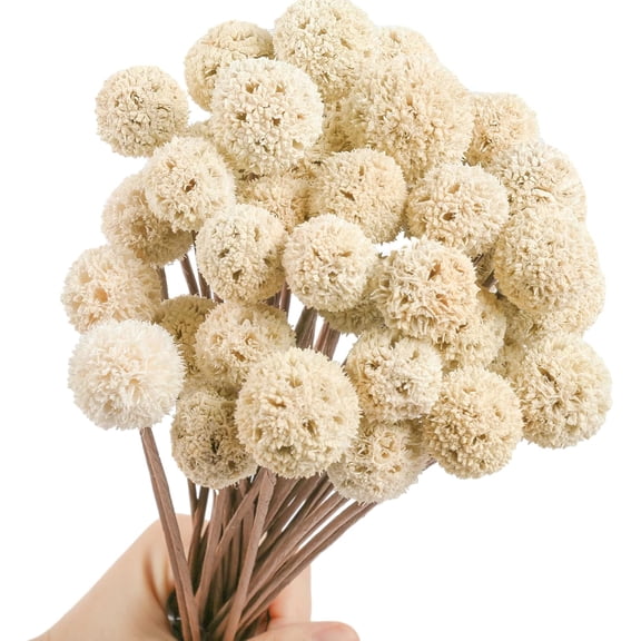 30 PCS Natural Dried Craspedia Billy Balls Flowers, 17 Dried White Flowers Buttons Bouquet for Vase Floral Arrangements Wedding Table Centerpieces Party DIY Home Decor, Christmas Tree Decoration