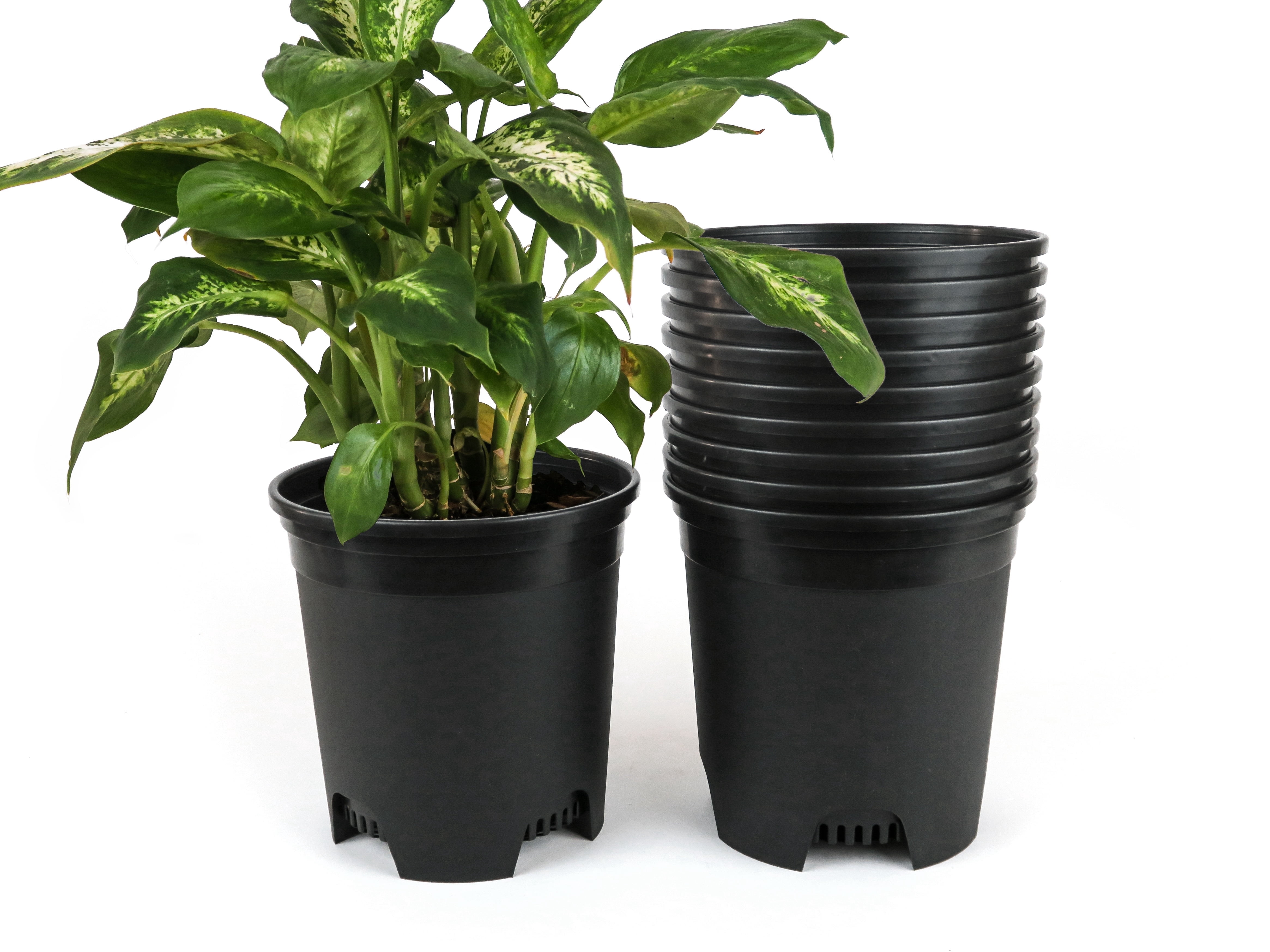 Cotta Planters 1.5 Gallon Nursery Pots 30-Pack 7.5 inch Bulk Black Plastic Planters Greenhouse supplies